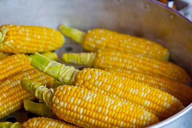 とうもろこしは野菜？穀物？世界の国々はどう見てる？