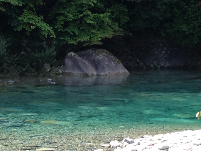 釣り堀で釣れる魚の代表格～超有名なあの魚～