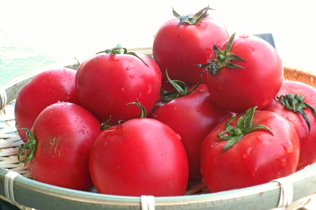 スペイン人とって身近な野菜！トマトを使った料理